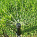 Lawn Sprinkler